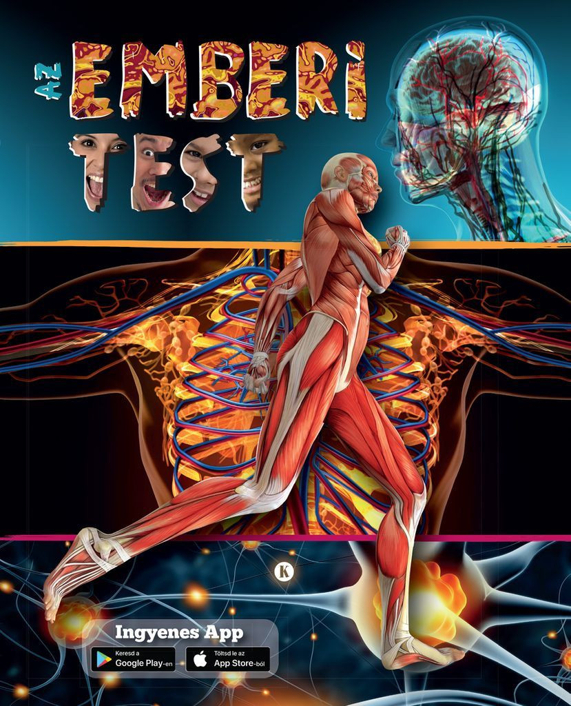 Az emberi test
