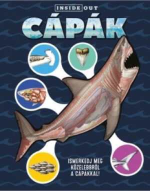 Cápák - 3D modell