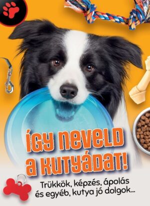 Így neveld a kutyádat