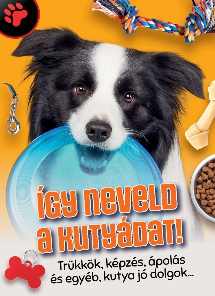 Így neveld a kutyádat