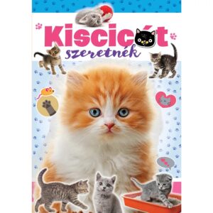 Kiscicát szeretnék