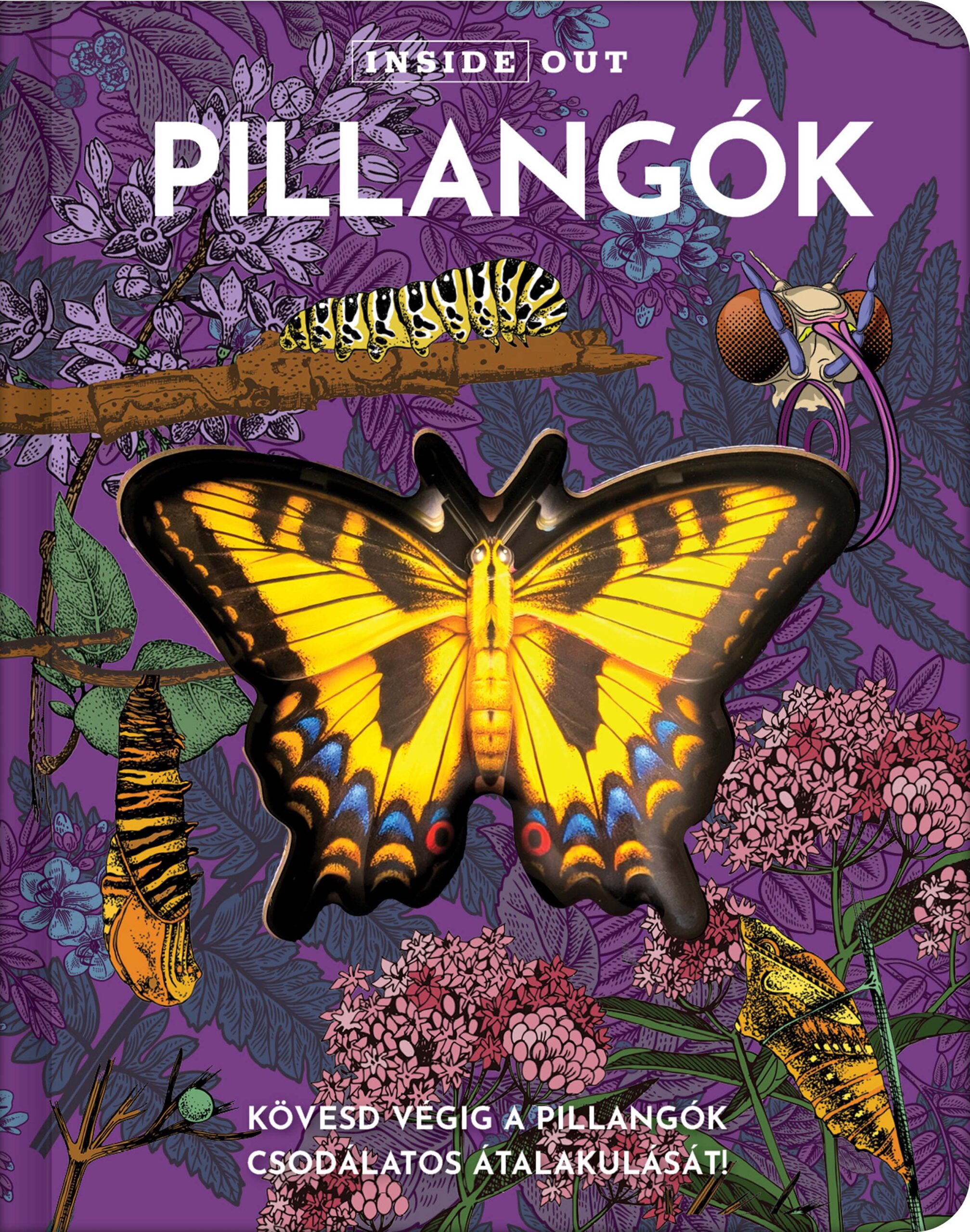 Pillangók
